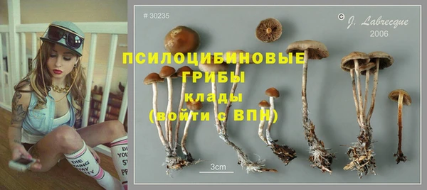 амф Балахна