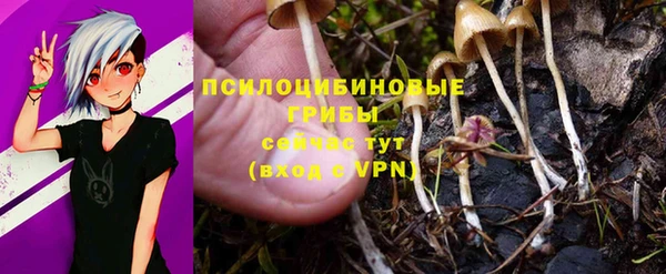 амф Балахна