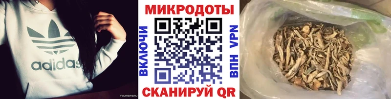 Галлюциногенные грибы Cubensis Ладушкин